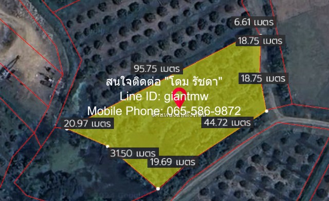 ที่ดิน