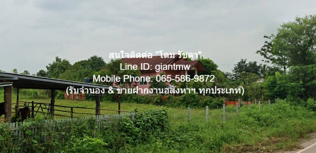 บ้าน