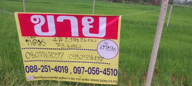 ที่ดิน
