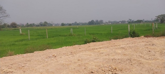 ที่ดิน