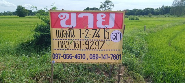 ที่ดิน