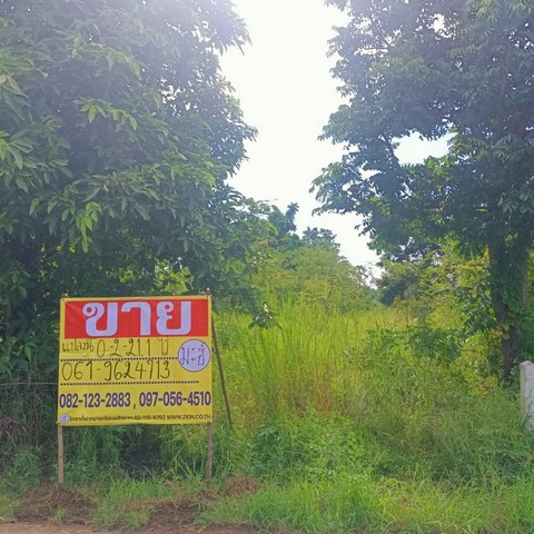 ที่ดิน
