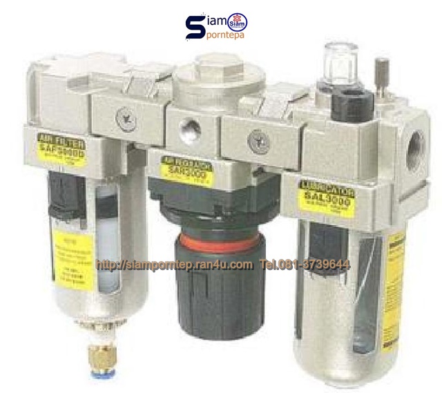 SAU300-03BDG SKP 1