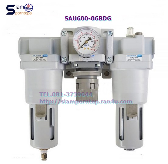 SAU600-06BDG SKP2
