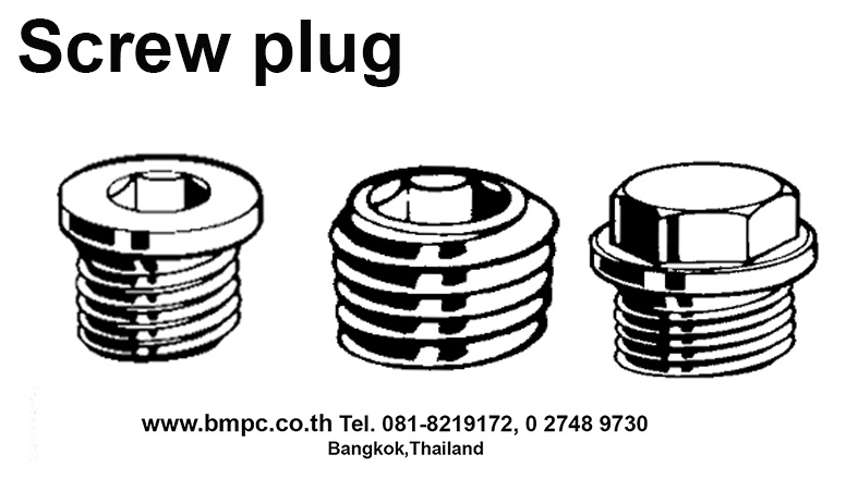 Oil plug