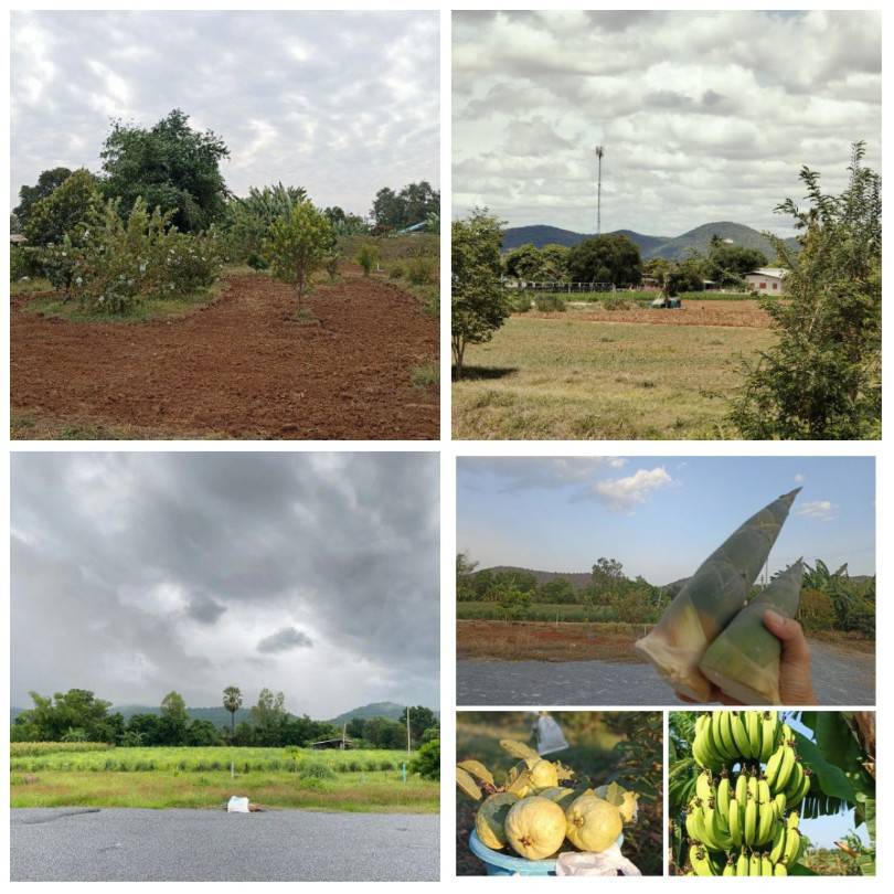 ที่ดิน พร้อมบ้าน