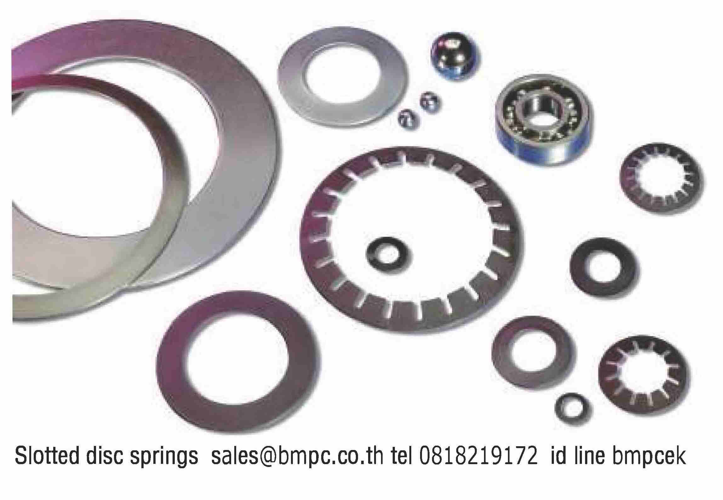 Schnorr Disc spring