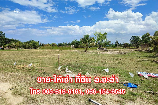 ขายที่ดินชะอำเพชรบุรี