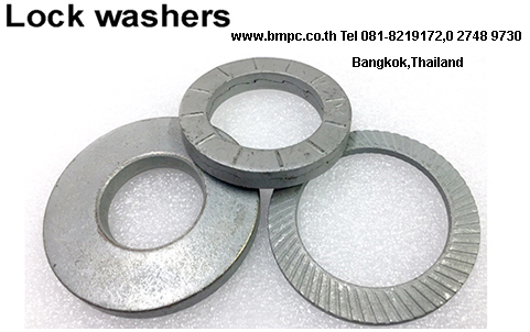 Schnorr Disc spring
