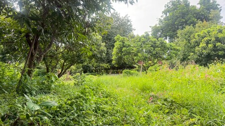 ที่ดินเชียงใหม่