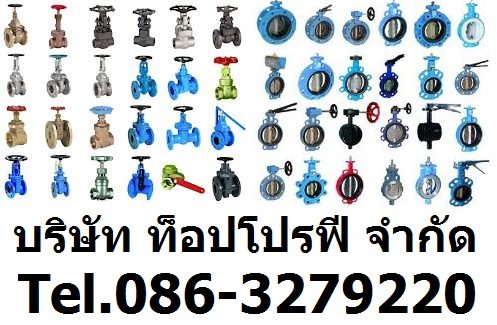 ท่อเหล็ก,ท่อเหล็กดำ,ท่อสแตนเลส
