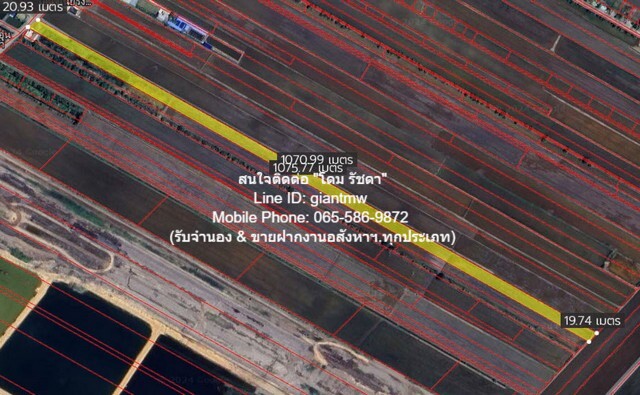 ที่ดิน