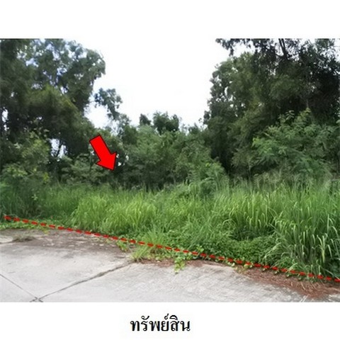 ที่ดิน