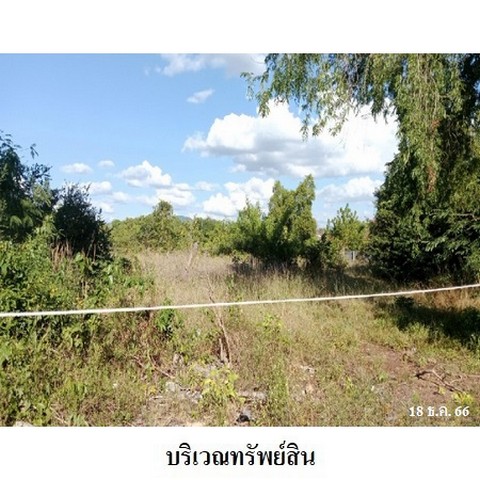 ที่ดิน