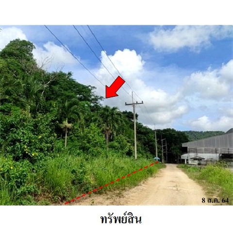 ที่ดิน