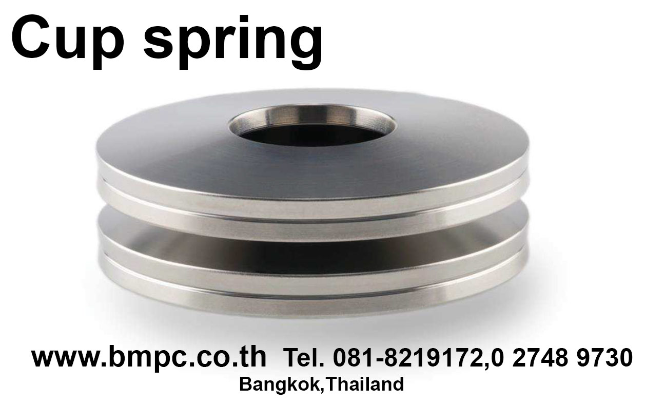 Schnorr cup spring