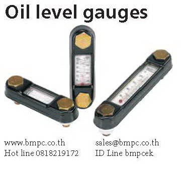 Oil level gauge
