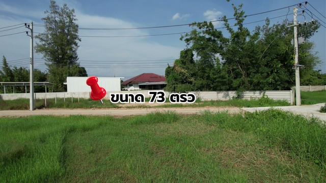ที่ดิน