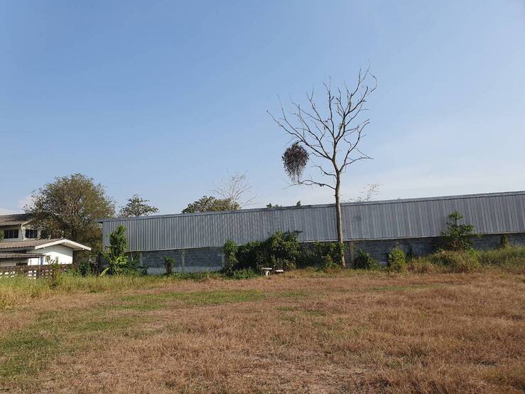 ที่ดินเปล่าให้เช่า