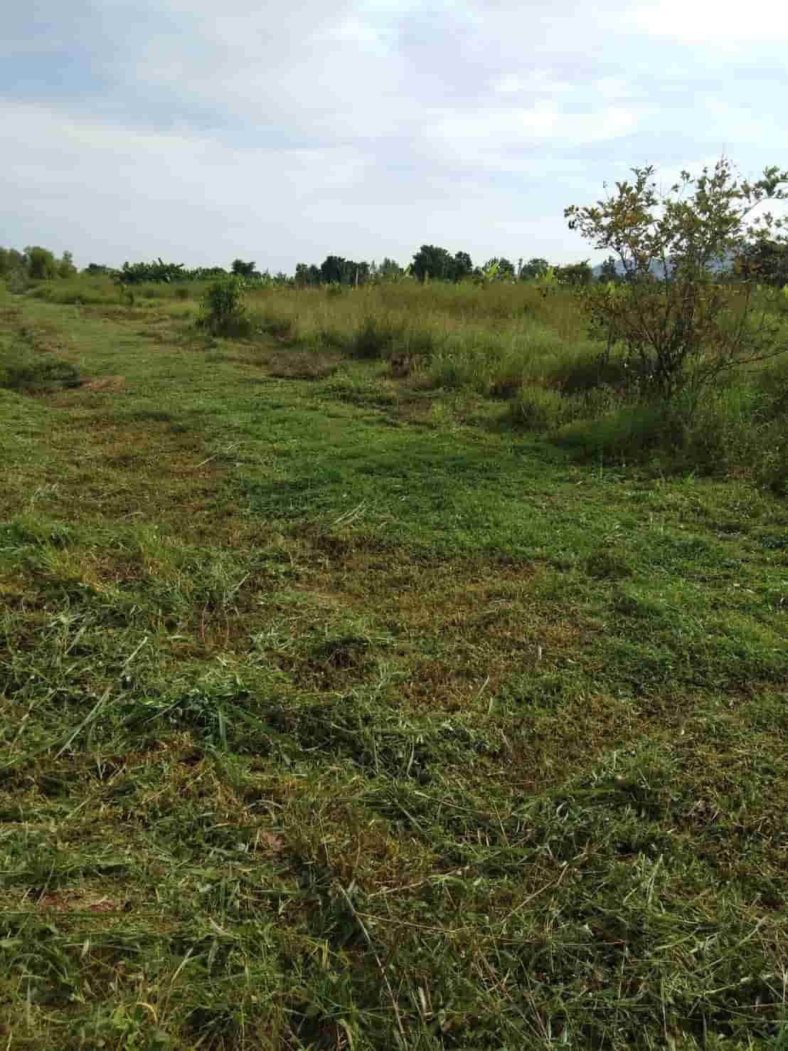 ต.รางบัว อ.จอมบึง จ.ราชบุรี 70