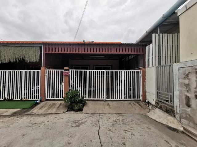 ลงประกาศฟรี ลงประกาศ  เพิ่มเว็บ  โฆษณาฟรี  ประกาศซื้อขายฟรีี  โปรโมทเว็บ ลงโฆษณาฟรี โปรโมทเว็บฟรี ประกาศซื้อขาย เพิ่มเว็บฟรี