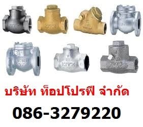 ท่อเหล็ก,ท่อเหล็กดำ,ท่อสแตนเลส