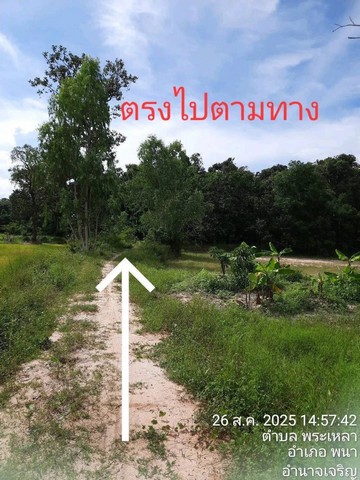 ที่ดิน