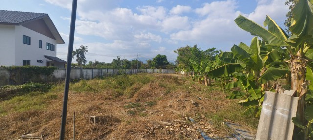 ที่ดิน