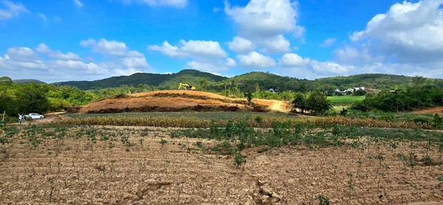 ที่ดิน